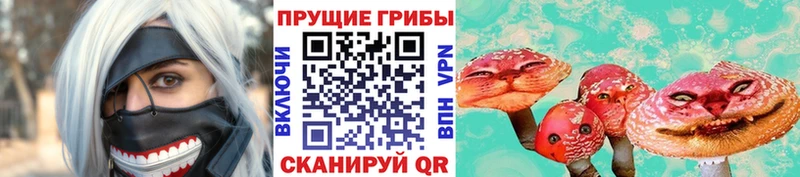 Купить где  Чегем  Псилоцибиновые грибы GOLDEN TEACHER 