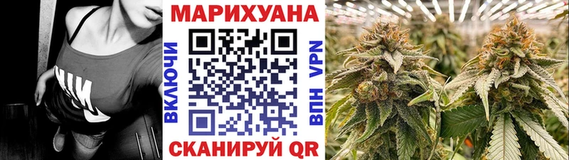 Бошки Шишки марихуана  Купить закладки  Чегем 